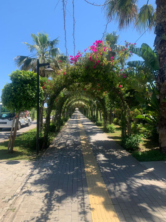 Strand Royal Seginus