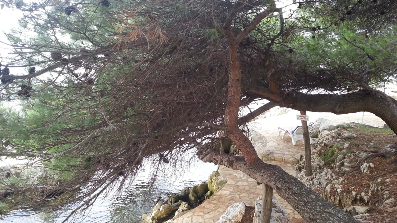 Schattige Liegeplätze Villa Galijot Plava Laguna