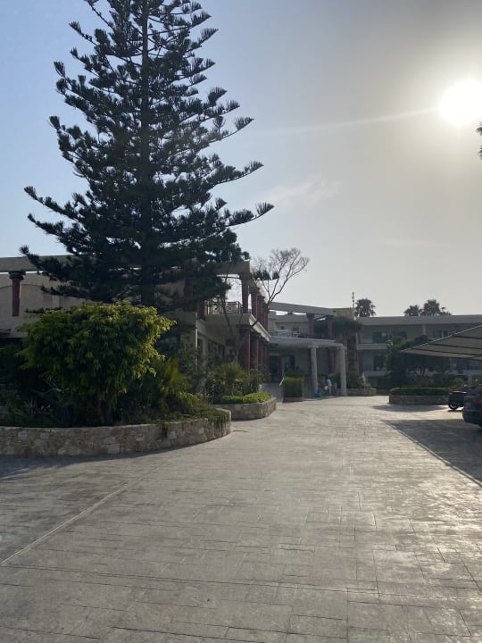 Außenansicht Apollon Hotel