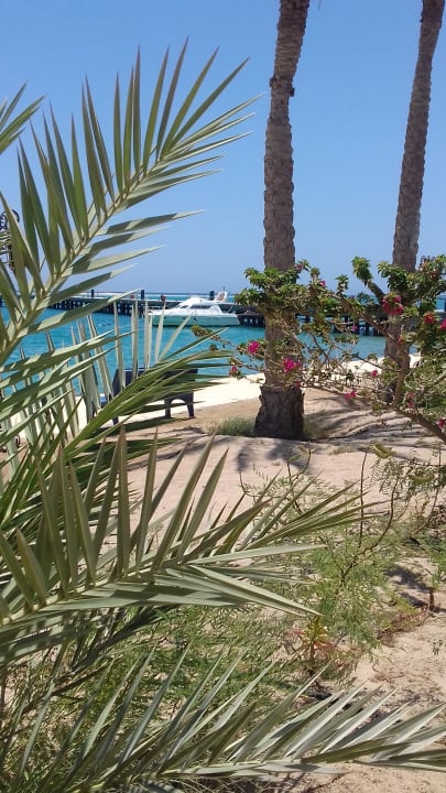 Strand Palm Royale Resort - Soma Bay