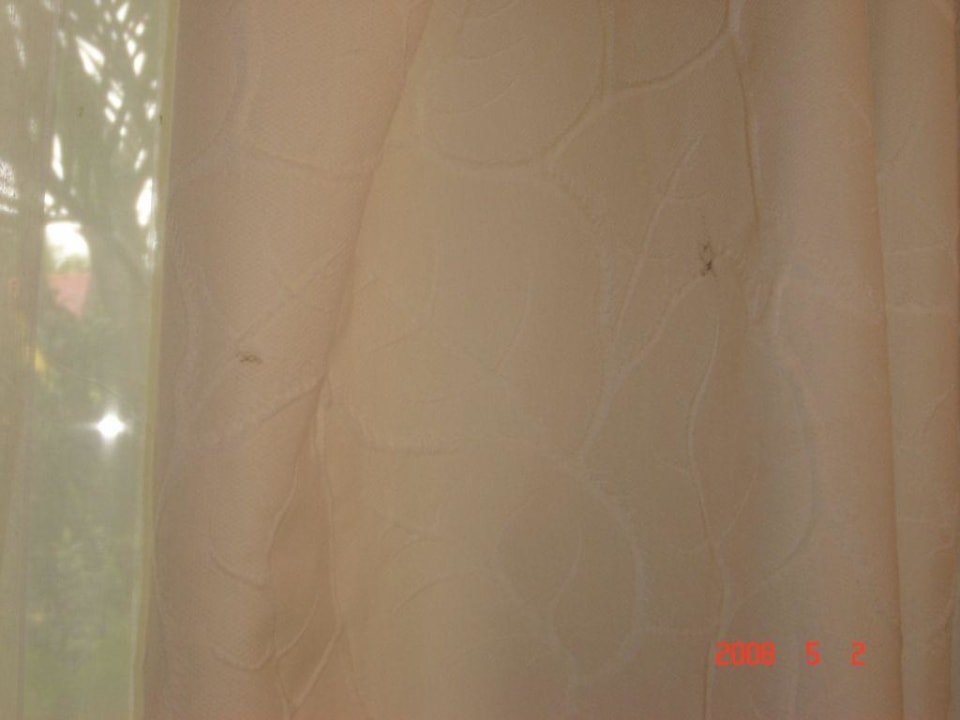 Verdreckte Vorhänge Paradisus Punta Cana Resort (Im Umbau/Renovierung)