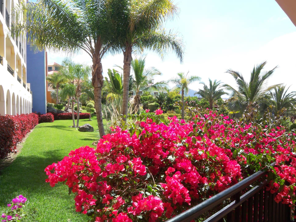 Feuerwerk der Blütenpracht Bahia Principe Sunlight Costa Adeje