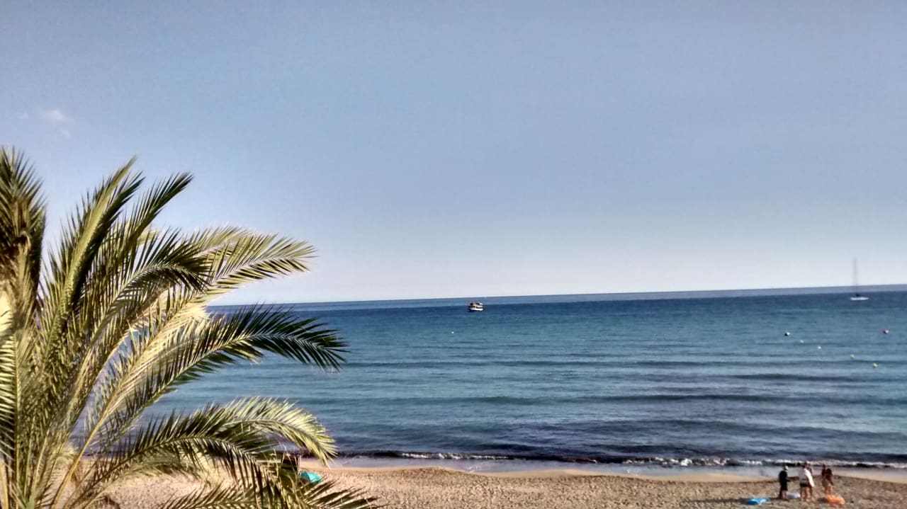 Zimmer Hotel Edén Palma Playa - Adults Only