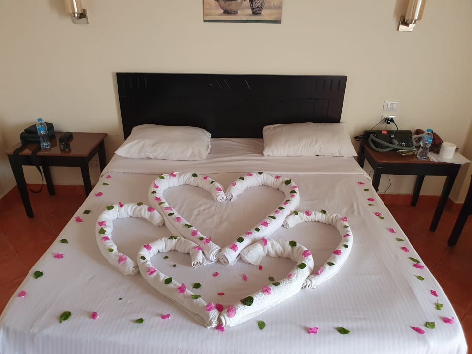 Zimmer Three Corners Sea Beach Resort