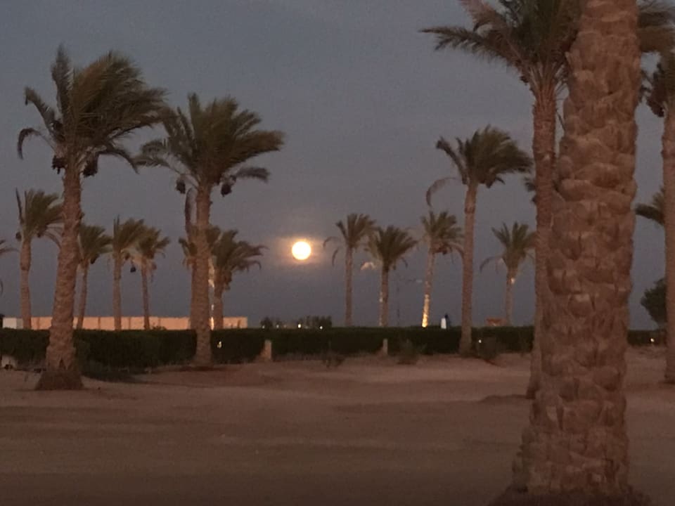 Ausblick ROBINSON SOMA BAY