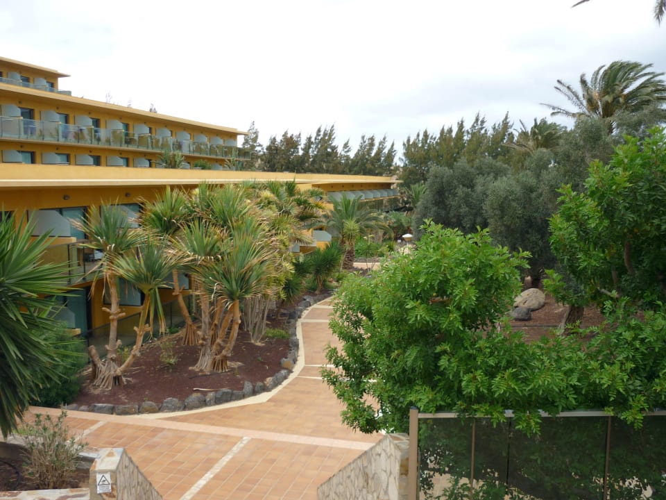 Hotel i ogród SBH Club Paraiso Playa