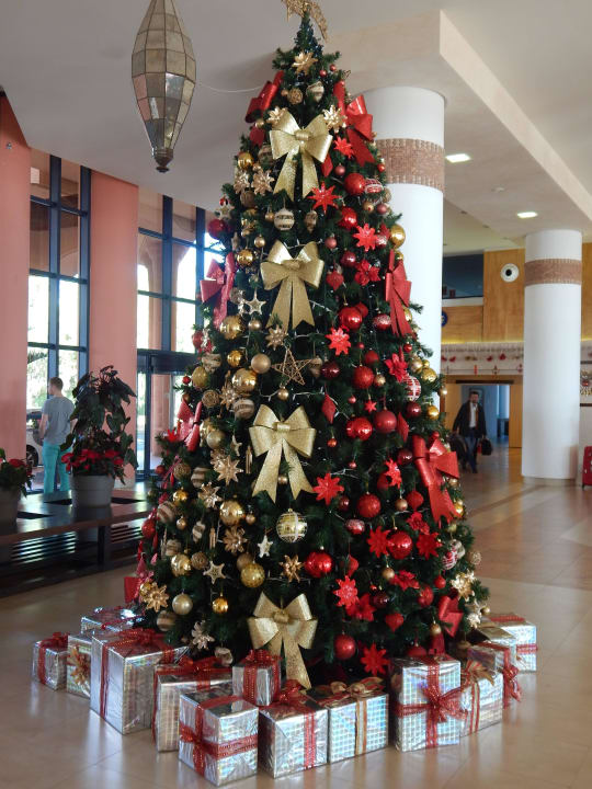 Der steht in der Lobby H10 Tindaya