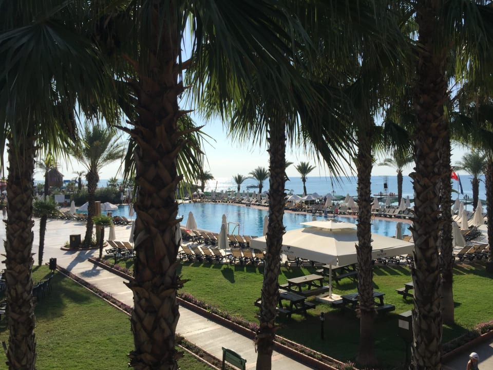 Pool Papillon Belvil