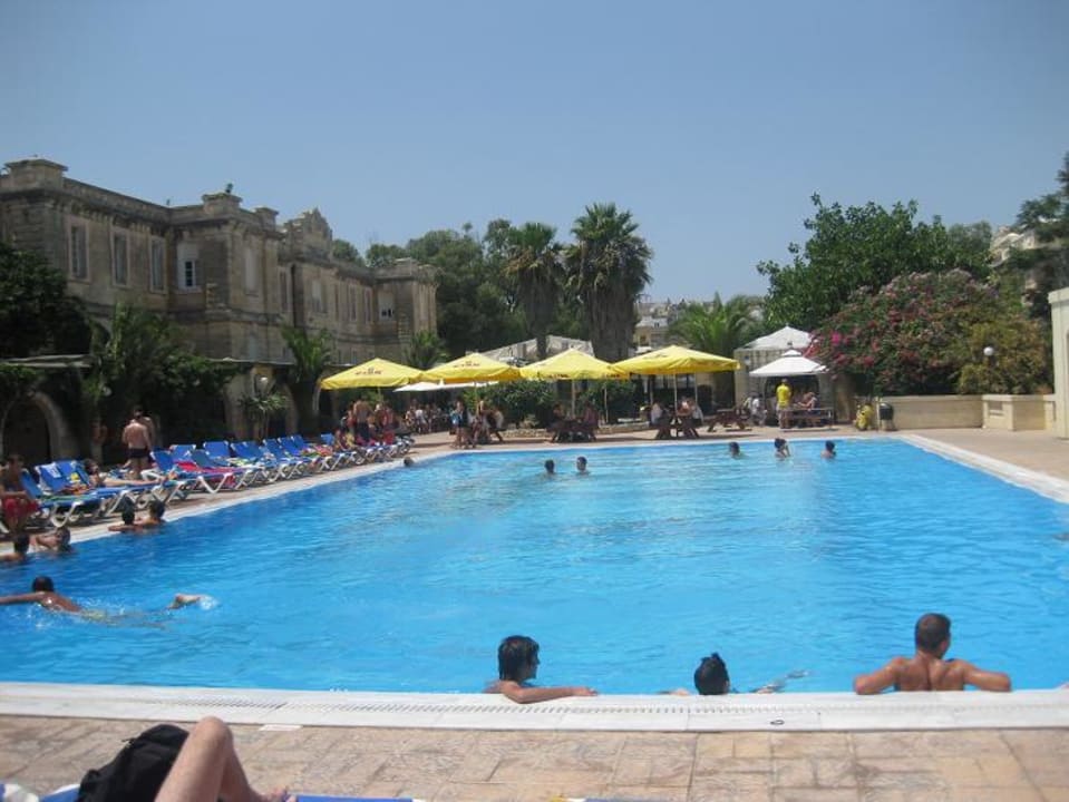 Der Pool Sprachcaffe International