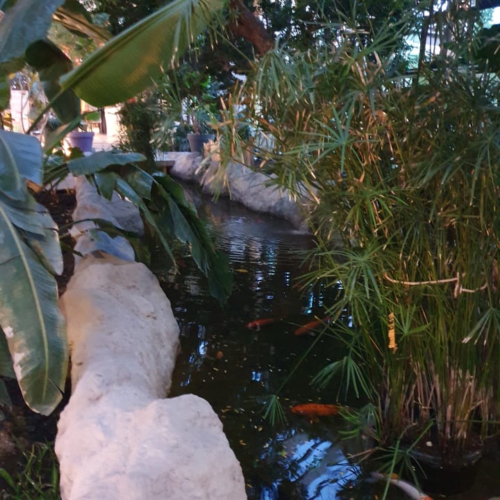 Gartenanlage Center Parcs Le Bois aux Daims