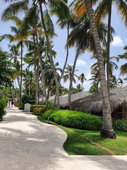 Außenansicht Hotel Viva Dominicus Palace by Wyndham-All Inclusive Resort