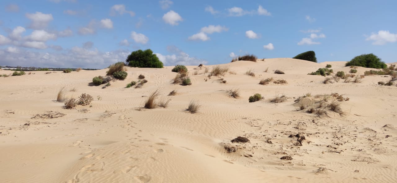 Strand VOI Marsa Siclà Essentia