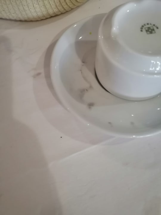 Gastro Iberostar Origin Taínos