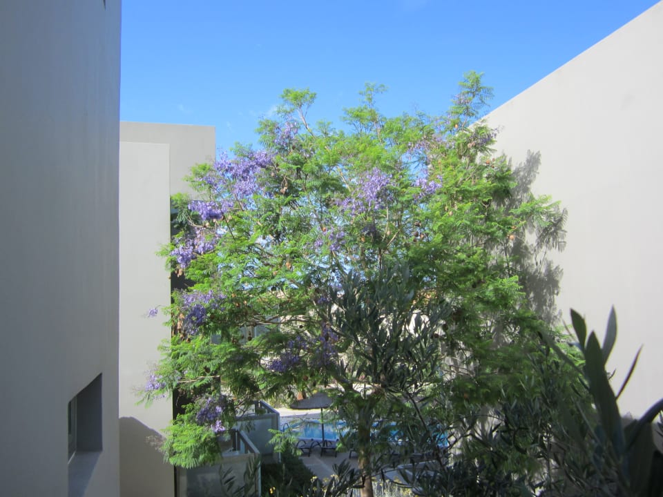 Ausblick Akti Palace Resort & Spa