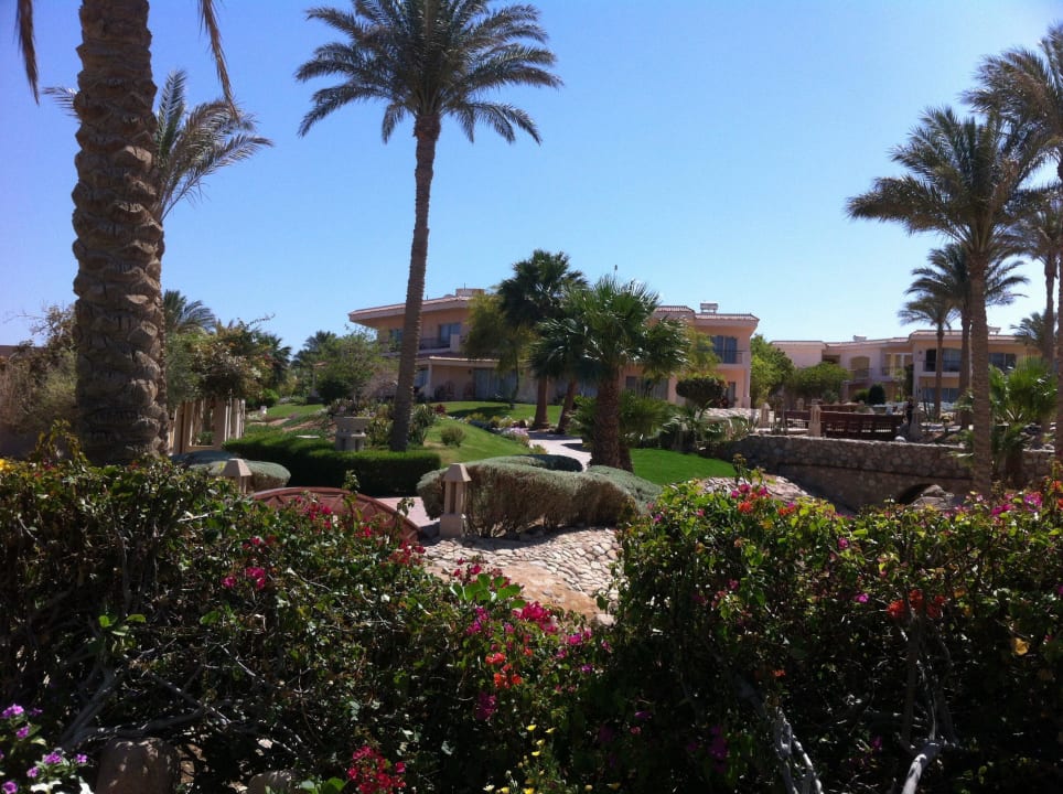 Cvghvhjv Parrotel Beach Resort