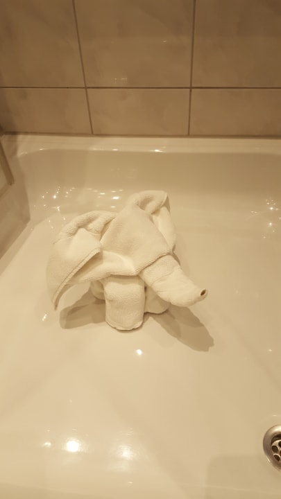 Zimmer Parkhotel Burgmühle