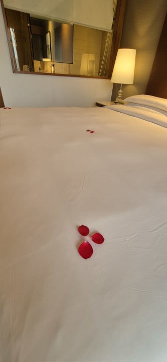 Zimmer Hotel Hyatt Ahmedabad