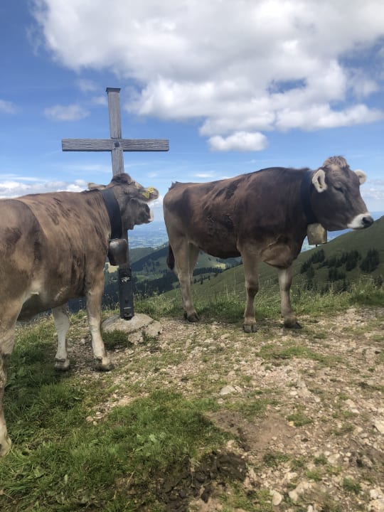 Sonstiges Ferienhof Baldauf