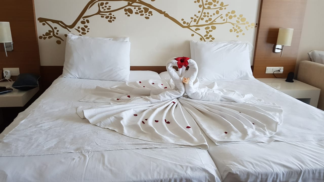 Zimmer Venosa Beach Resort & Spa