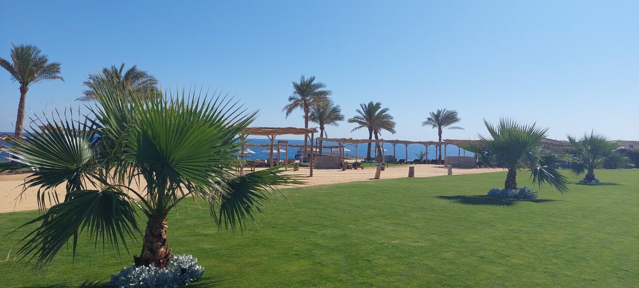 Gartenanlage Steigenberger Resort Alaya Marsa Alam - Red Sea - Adults only