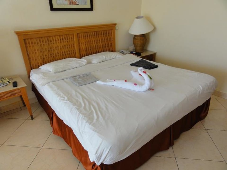 Der Handtuchschwan Pickalbatros Royal Grand Resort - Sharm El Sheikh