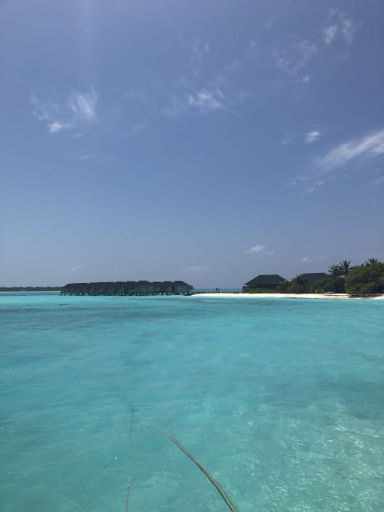 Ausblick Summer Island Maldives