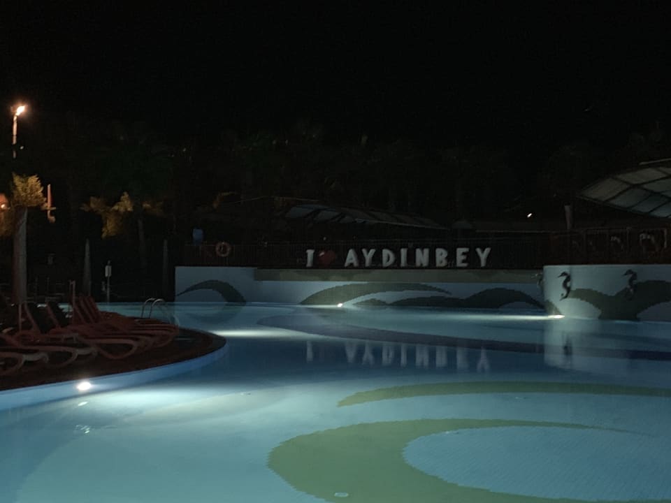 Pool Aydinbey Kings Palace & Spa