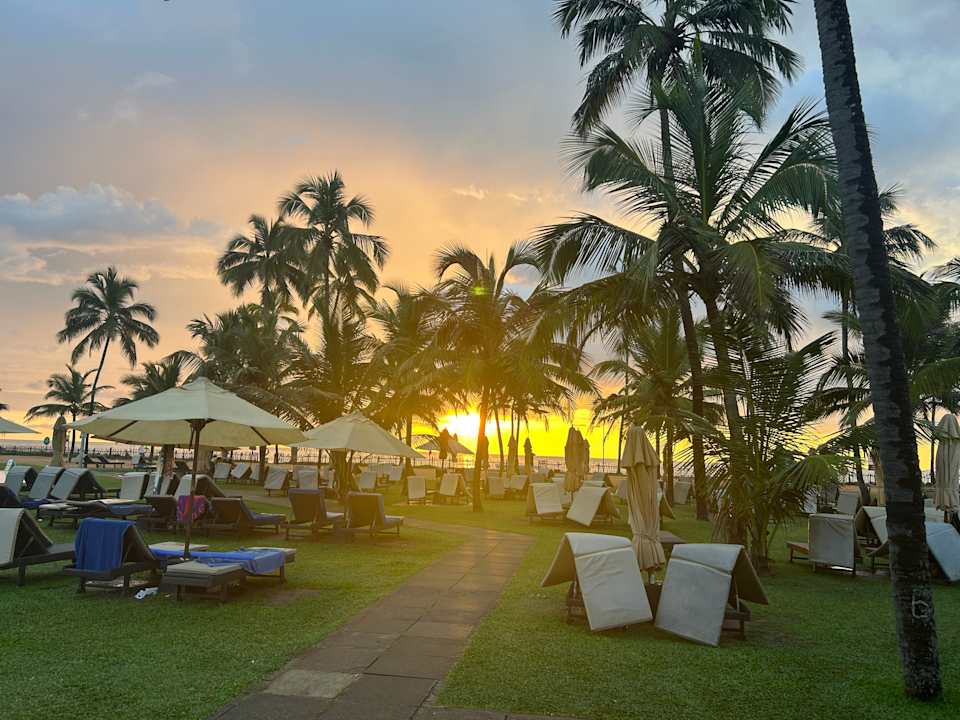 Gartenanlage Club Hotel Dolphin