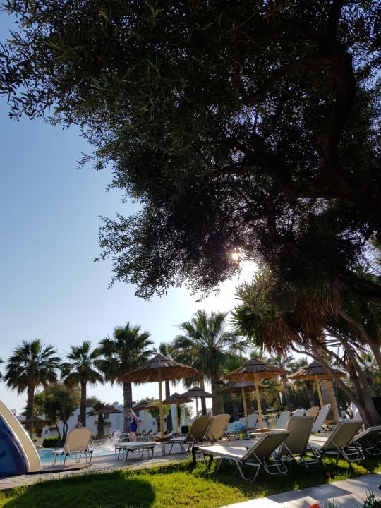 Pool TUI KIDS CLUB Alex Beach