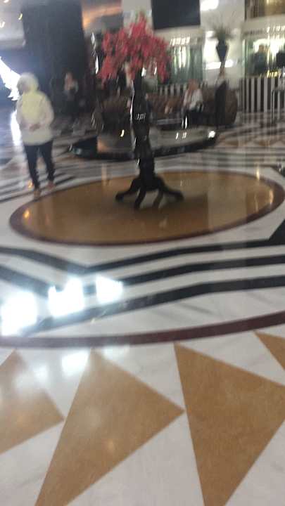 Lobby Hotel Delphin Imperial