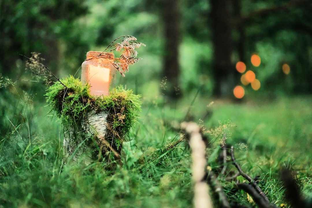 Gartenanlage Laguna Kompleks Wypoczynkowo Rekreacyjny