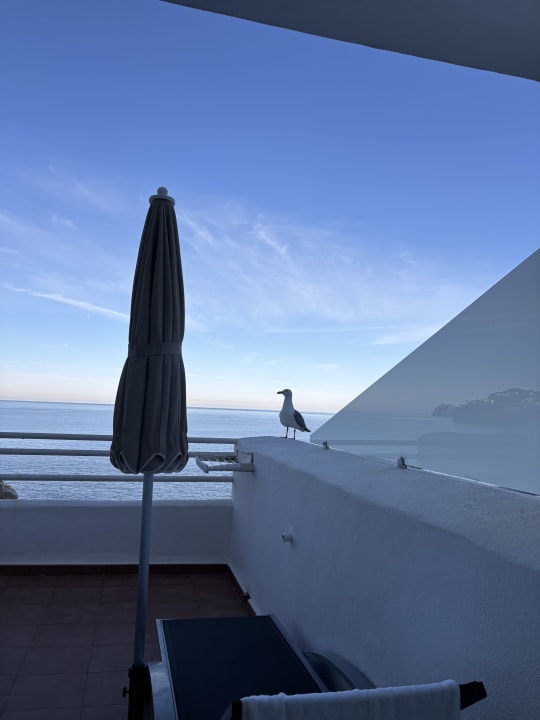 Zimmer Sentido Fido Punta del Mar – Adults only