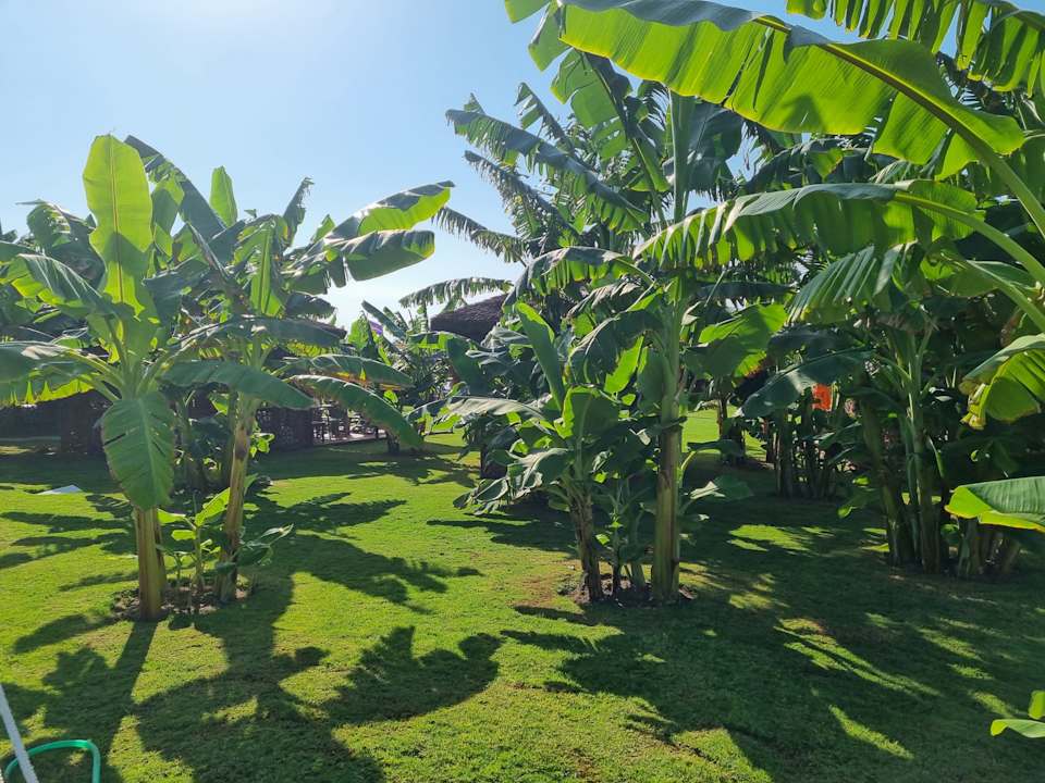 Gartenanlage VONRESORT Golden Coast