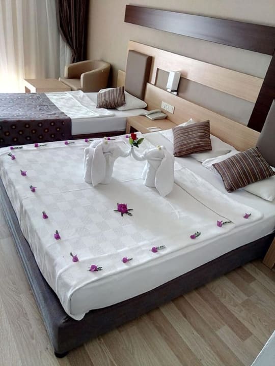 Zimmer Telatiye Resort