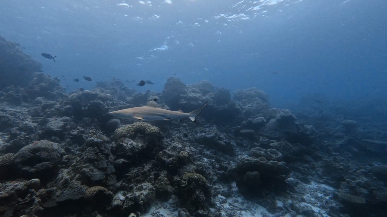 Sport & Freizeit ROBINSON MALDIVES