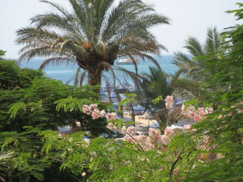 Blick aus dem Zimmer 976 The Grand Hotel Hurghada