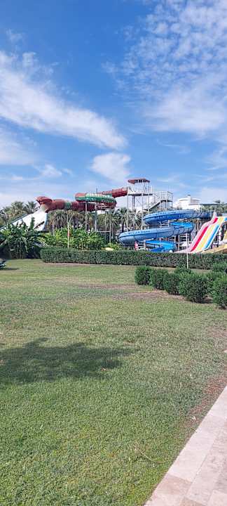 Pool Crystal Tat Beach Pearl Collection