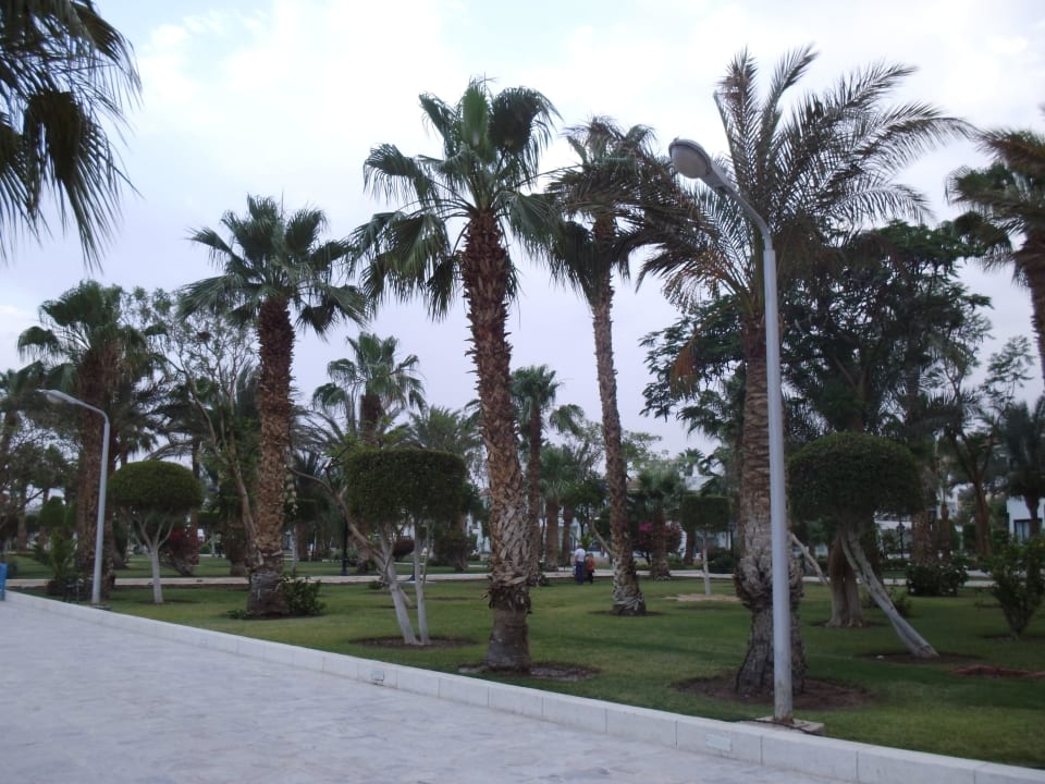 Im Hotel The Grand Hotel Hurghada