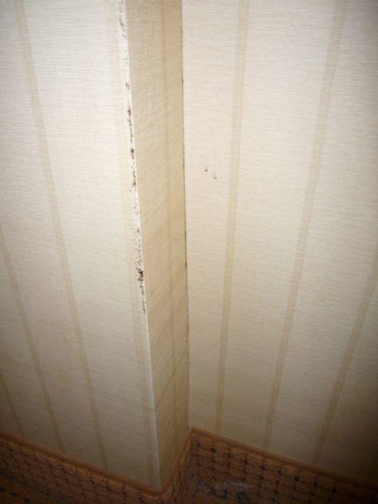 Schimmelige Tapete Hotel Wyndham Garden Newark Airport