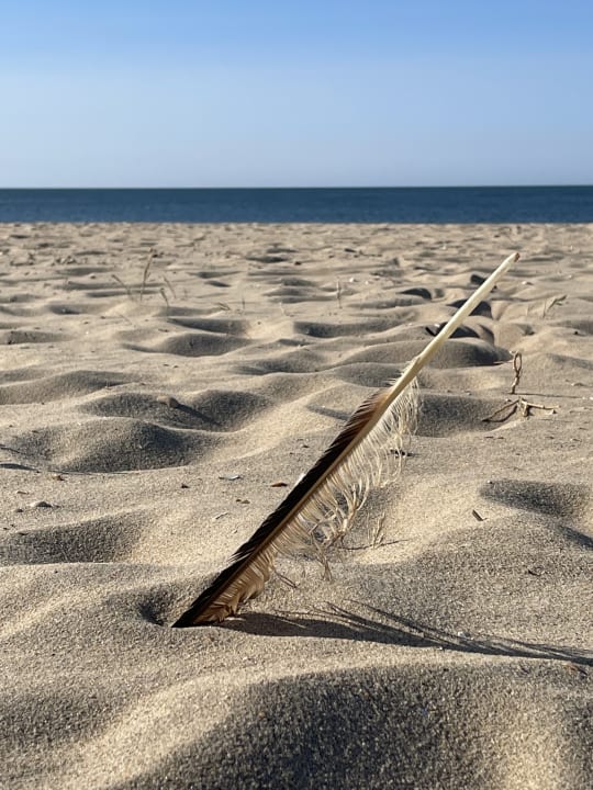 Strand TUI BLUE Isla Cristina Palace
