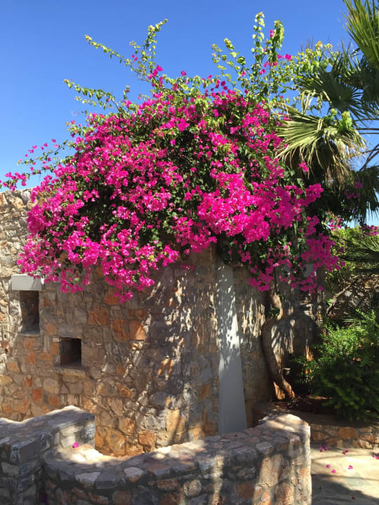 Einfach schön! Ikaros Beach Luxury Resort & Spa - Adults Only