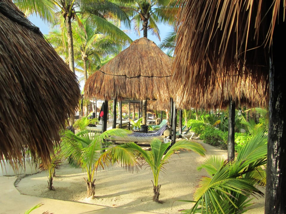 Strandbett am linken Strand TUI BLUE El Dorado Seaside Suites