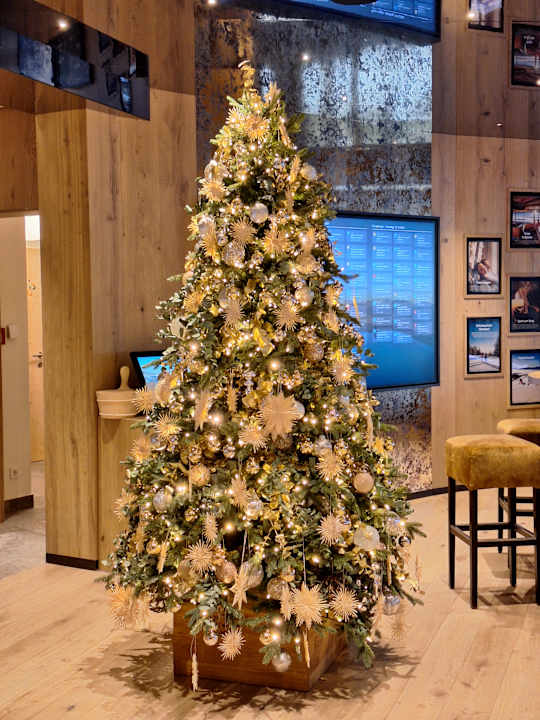 Lobby Mountain Resort Feuerberg