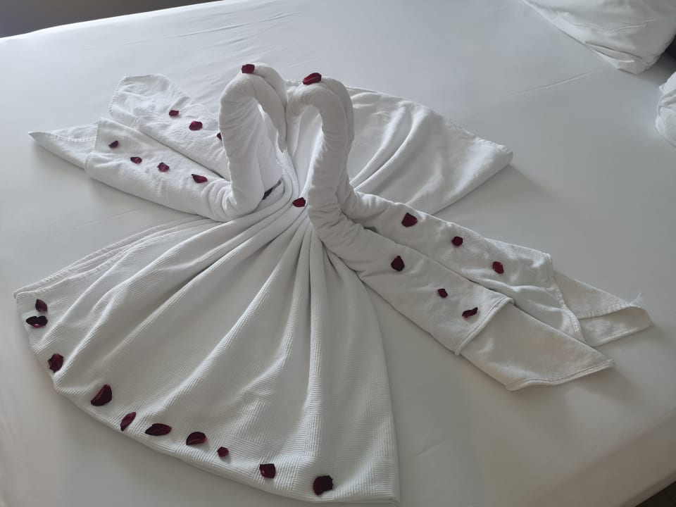 Zimmer Numa Bay Exclusive Hotel