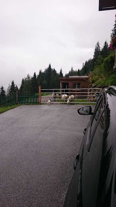 Nette Nachbarn Haus Johanna