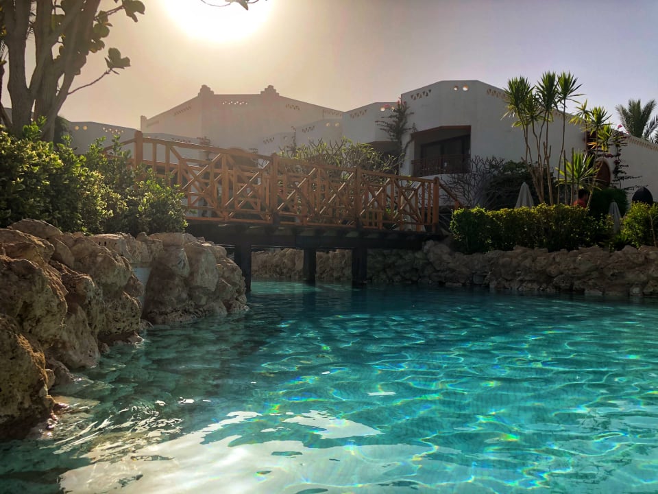 Pool Ghazala Gardens