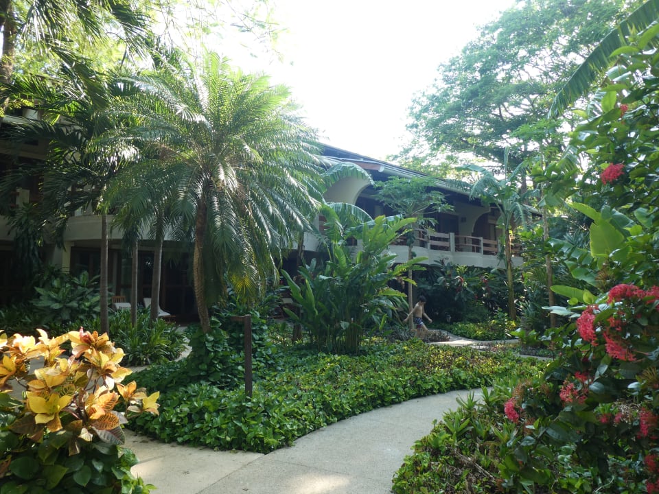 Gartenanlage Capitán Suizo Beachfront Boutique Hotel