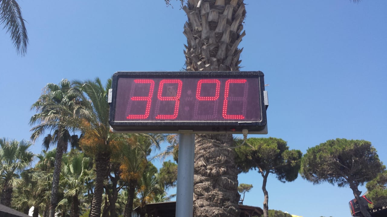 Heisse 39 Papillon Ayscha