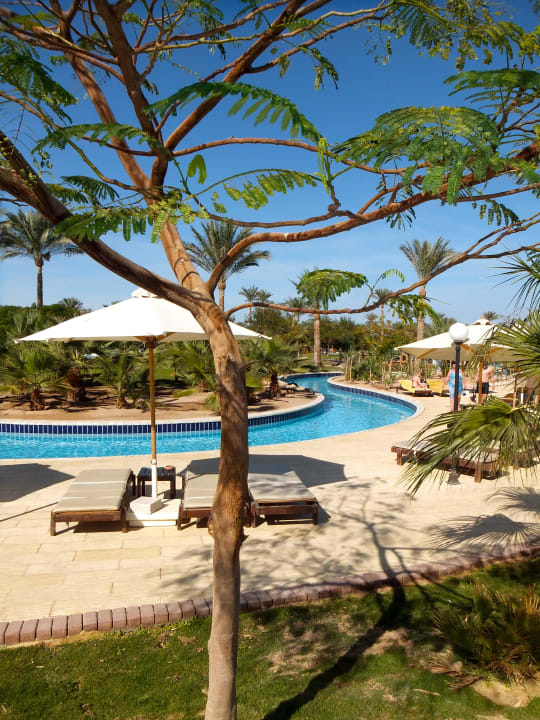 Pool Steigenberger ALDAU Beach Hotel