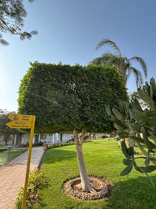 Gartenanlage Shams Safaga Resort